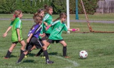 星空体育官网入口-霍芬海姆队宣布球队夏季友谊赛赛程，备战新赛季再度出击