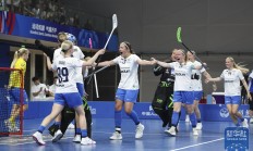 星空体育官方入口-芬兰队绝杀获胜，晋级形势一片大好的简单介绍