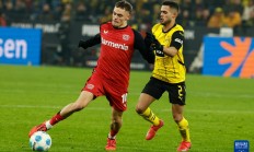 星空体育电竞-多特蒙德在主场击败勒沃库森