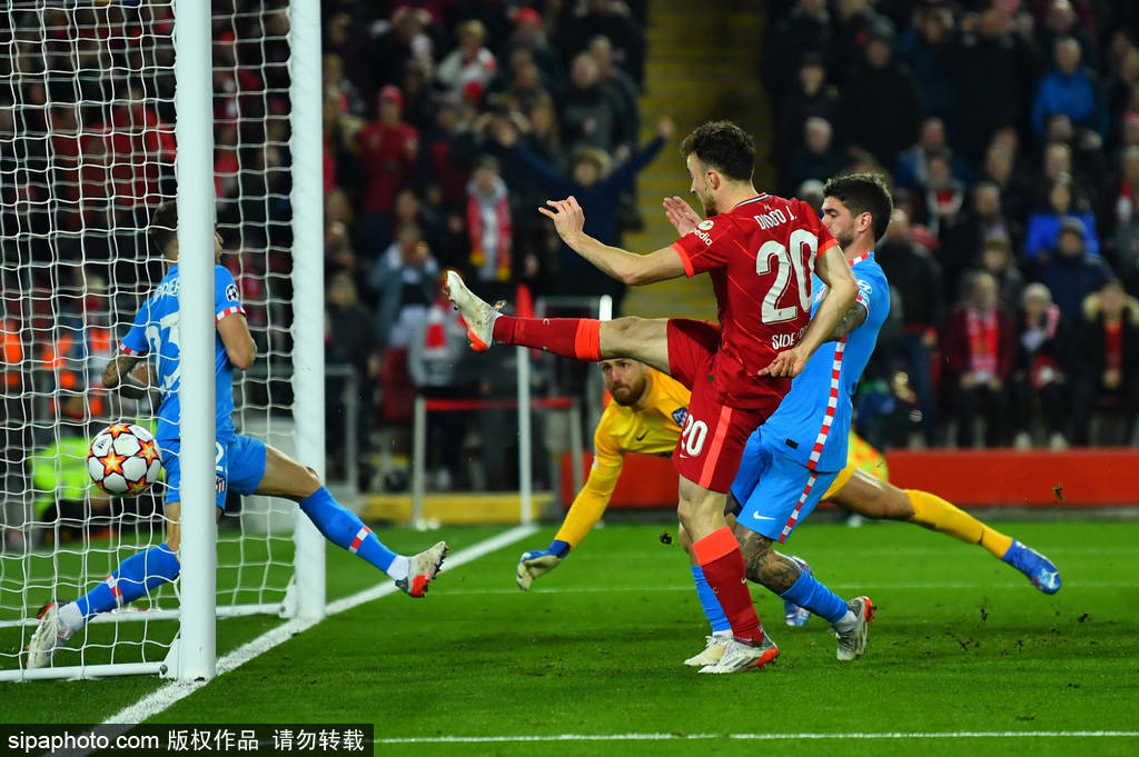 猛虎在风暴中凭借百倍力地摧枯拉朽