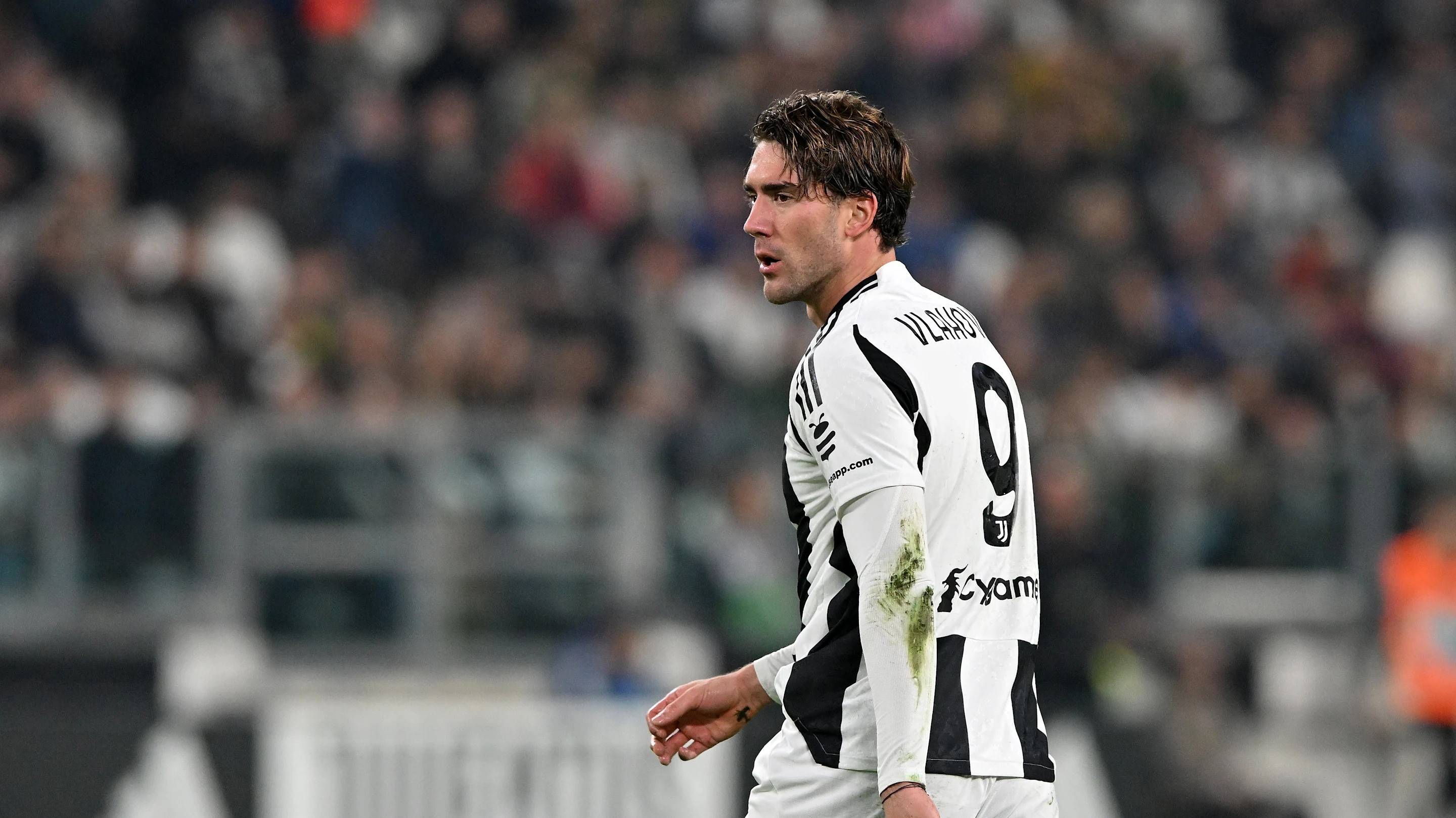 包含尤文图斯再问鼎欧冠，冠军荣耀尤文的词条